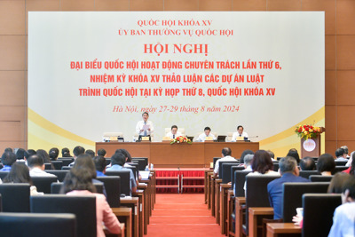 ĐBQH: cần quy định để đảm bảo phát triển thị trường điện cạnh tranh, minh bạch