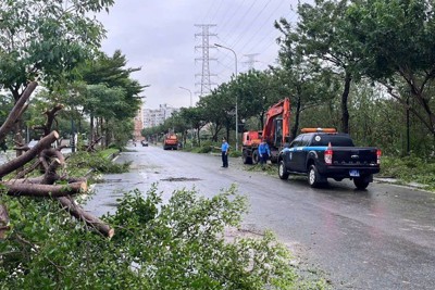 Sở GTVT triển khai các biện pháp cấp bách khắc phục hậu quả bão số 3