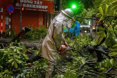 Đón bão Yagi, khách Tây cảm động trước tinh thần của người Việt