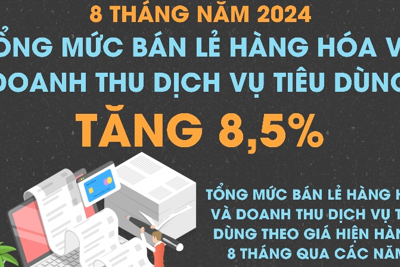 Tổng mức bán lẻ hàng hóa, doanh thu dịch vụ tiêu dùng 8 tháng tăng 8,5%