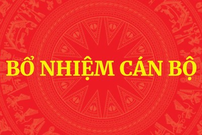 Bổ nhiệm nhân sự tỉnh Bắc Kạn và Đài Truyền hình Việt Nam