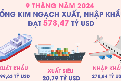 Kim ngạch xuất, nhập khẩu của cả nước trong 9 tháng năm 2024 tăng 16,3%