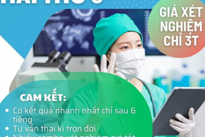 Kỳ 2: Mức xử phạt chưa có tính răn đe