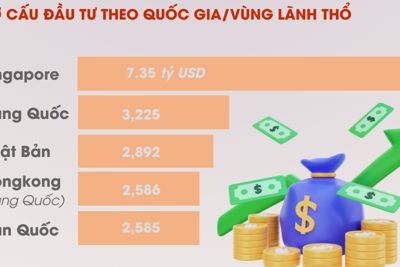 Vốn đầu tư nước ngoài đăng ký vào Việt Nam hơn 24,78 tỷ USD