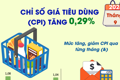 Chỉ số giá tiêu dùng tháng 9/2024 tăng 0,29%