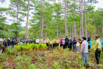 ROX Key chung tay phủ xanh những tán rừng cùng Joy Foundation