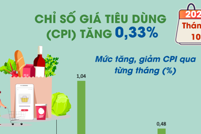 Chỉ số giá tiêu dùng tháng 10/2024 tăng 0,33%