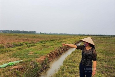 Lời hay lỗ khi đầu tư mua đất nông nghiệp để lên thổ cư?