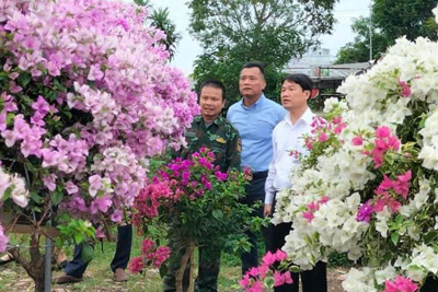 Lễ hội cây cảnh, hoa giấy xã Phù Đổng, huyện Gia Lâm: Để “Sắc hoa trên miền di sản” vươn xa