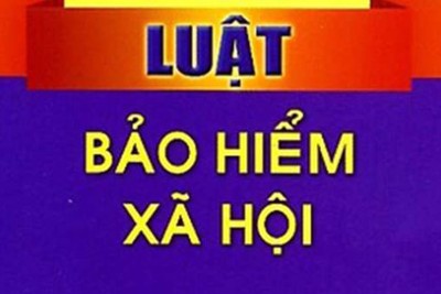 Kế hoạch triển khai thi hành Luật Bảo hiểm xã hội và Nghị quyết số 142/2024/QH15