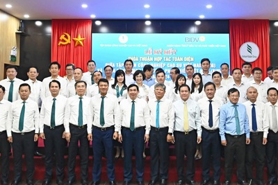 BIDV và VRG hợp tác toàn diện giai đoạn 2024 - 2029