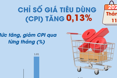 Chỉ số giá tiêu dùng tháng 11 tăng nhẹ 0,13%