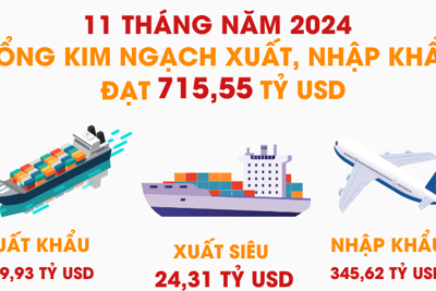 Tổng kim ngạch xuất, nhập khẩu hàng hóa 11 tháng năm 2024 tăng 15,4%