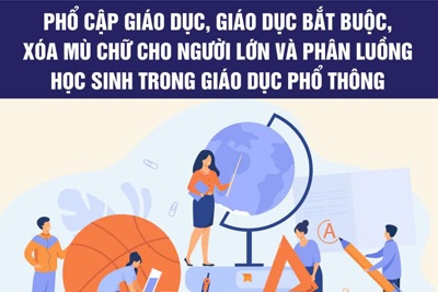 Nâng cao hiệu quả công tác phổ cập giáo dục, xóa mù chữ cho người lớn