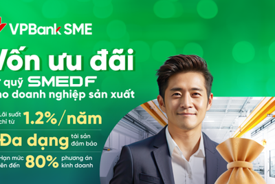 VPBank tham gia chương trình hợp tác với Quỹ SMEDF: Kênh tín dụng mới cho DN