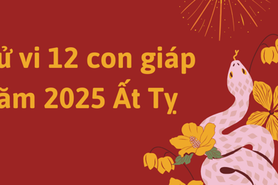 Tử vi năm 2025 của 12 con giáp