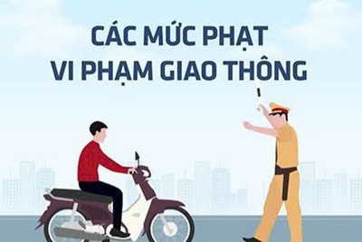 Những lỗi vi phạm giao thông thường gặp và mức phạt mới áp dụng từ 1/1/2025