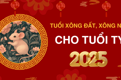 Tuổi xông đất, xông nhà năm 2025 cho gia chủ tuổi Tý