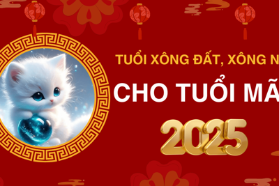 Chọn tuổi xông đất, xông nhà năm 2025 cho gia chủ tuổi Mão may mắn