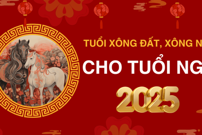 Tuổi xông đất, xông nhà năm 2025 cho tuổi Ngọ giúp may mắn cả năm