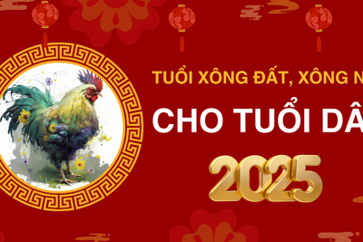 Những tuổi xông đất, xông nhà năm 2025 cho tuổi Dậu giúp may mắn cả năm