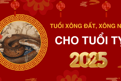 Tuổi xông đất, xông nhà năm 2025 cho tuổi Tỵ giúp may mắn cả năm