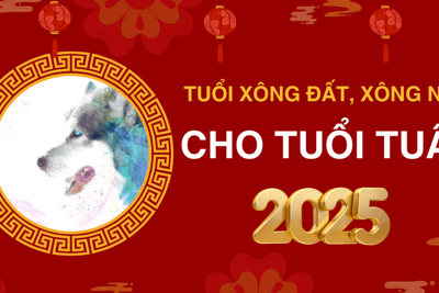 Tuổi xông đất, xông nhà năm 2025 cho tuổi Tuất giúp may mắn cả năm