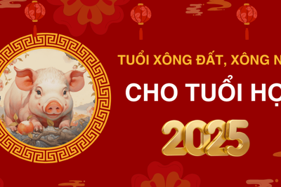 Các tuổi xông đất, xông nhà năm 2025 cho tuổi Hợi giúp may mắn cả năm