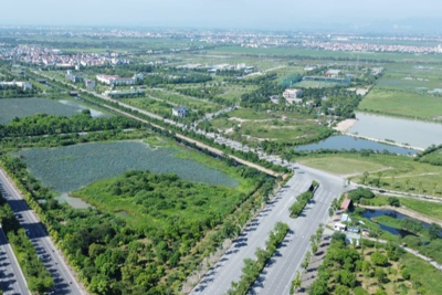 Hà Nội giao hơn 20.000m2 đất cho huyện Ứng Hòa để đấu giá