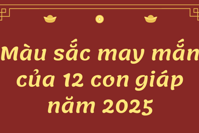 Những màu sắc may mắn của 12 con giáp năm 2025