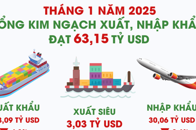 Tổng kim ngạch xuất, nhập khẩu tháng đầu năm 2025 đạt 63,15 tỷ USD