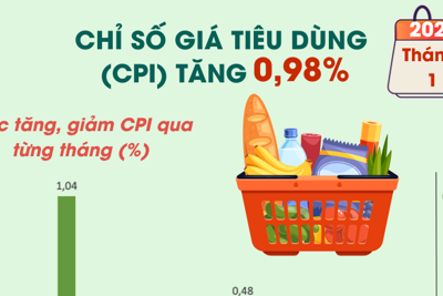 Chỉ số giá tiêu dùng tháng 1/2025 tăng 0,98%