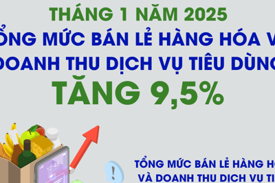 Tổng mức bán lẻ hàng hóa và doanh thu dịch vụ tiêu dùng tăng 9,5%