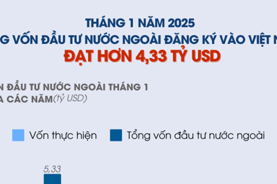 Tổng vốn đầu tư nước ngoài đăng ký vào Việt Nam tháng 1/2025 tăng 48,6%