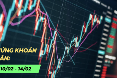 Chứng khoán tuần 10/2-14/2: VN-Index tạo nền tích lũy, khối ngoại giao dịch trái chiều