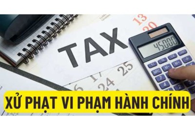 Kiểm tra thi hành pháp luật xử lý vi phạm hành chính lĩnh vực thuế