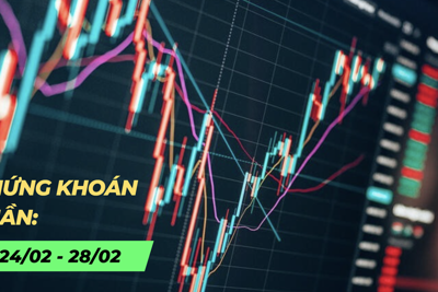 Chứng khoán tuần 24 - 28/2: Thị trường phân hóa, VN-Index giữ vững đà tích cực