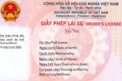 Hình ảnh giấy phép lái xe mới do Bộ Công an cấp từ tháng 3/2025