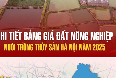 Bảng giá đất nông nghiệp nuôi trồng thủy sản Hà Nội năm 2025