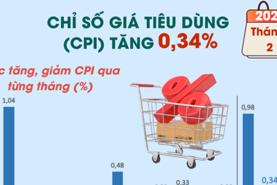 Chỉ số giá tiêu dùng (CPI) tháng 2/2025 tăng 0,34%