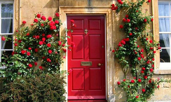 Danh sách màu sơn cửa chính đẹp Sơn cửa chính màu gì đẹp Chọn cho ngôi nhà của bạn