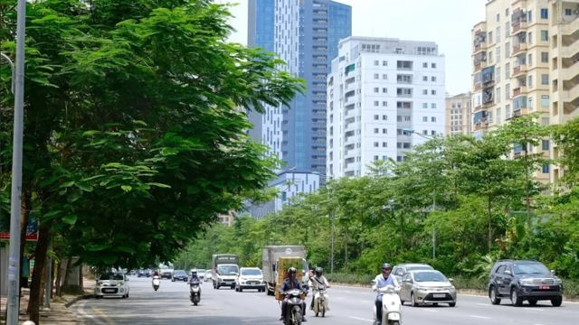 Hà Nội phát triển hệ thống cây xanh: Làm dày thêm “tấm lá chắn” bảo vệ môi trường