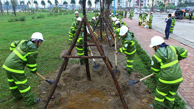 Nhân rộng phong trào trồng cây xanh