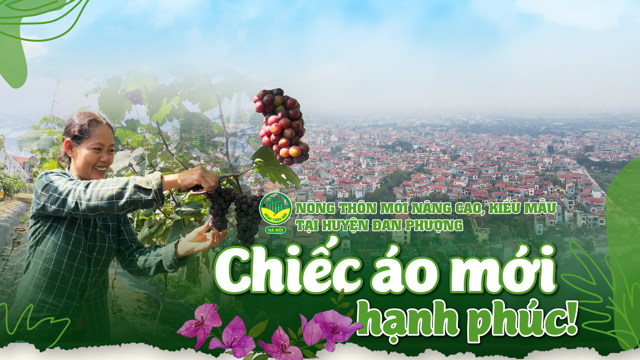 Chiếc áo mới hạnh phúc!