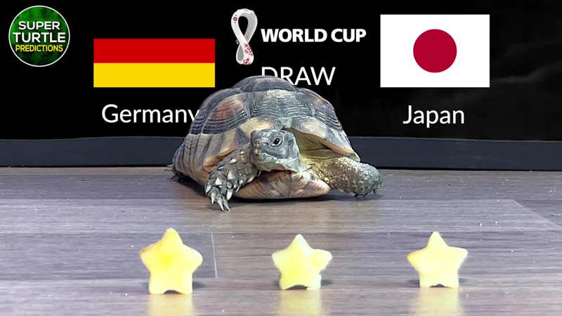 World Cup 2022 Predictions by Super Turtle