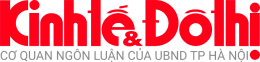logo.png (260×62)