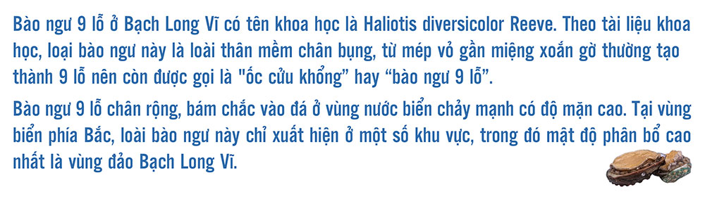 Bài 2: Có sức người, đảo "vô thuỷ" cũng thành "hữu thuỷ" - Ảnh 8