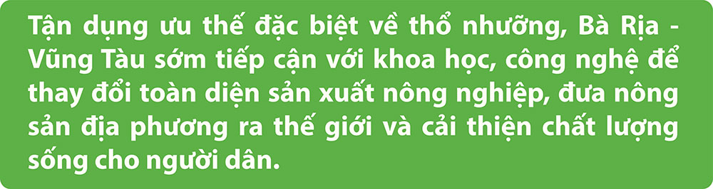 Bà Rịa - Vũng Tàu “đổi màu” cho ruộng đồng bằng công nghệ cao - Ảnh 2