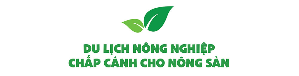 Bà Rịa - Vũng Tàu “đổi màu” cho ruộng đồng bằng công nghệ cao - Ảnh 7