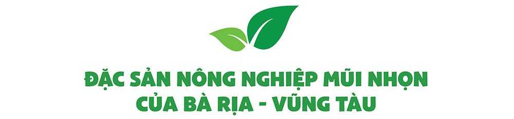 Bà Rịa - Vũng Tàu “đổi màu” cho ruộng đồng bằng công nghệ cao - Ảnh 3